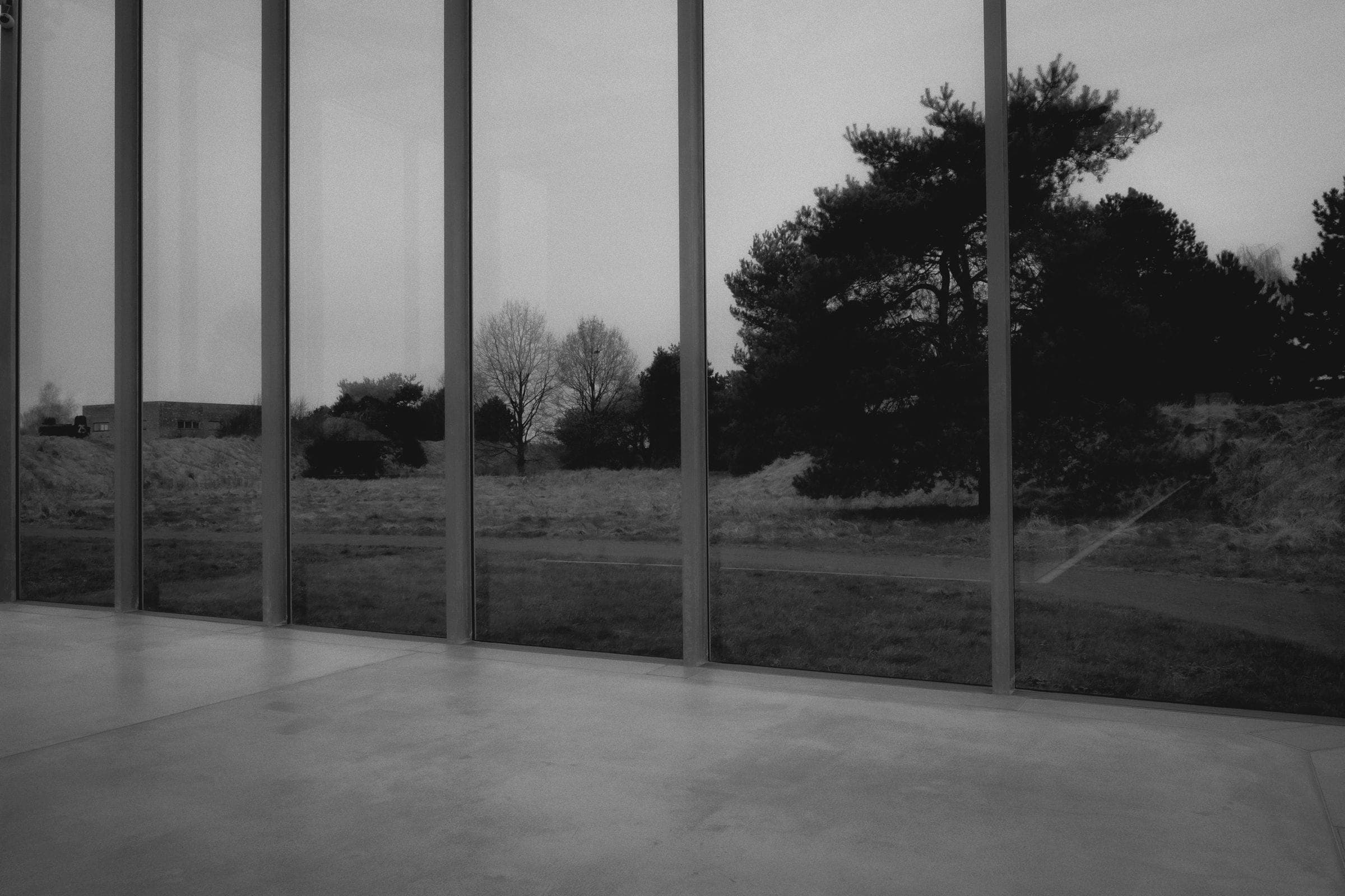 Trees seen through the tall windows of a quiet room, in black and white