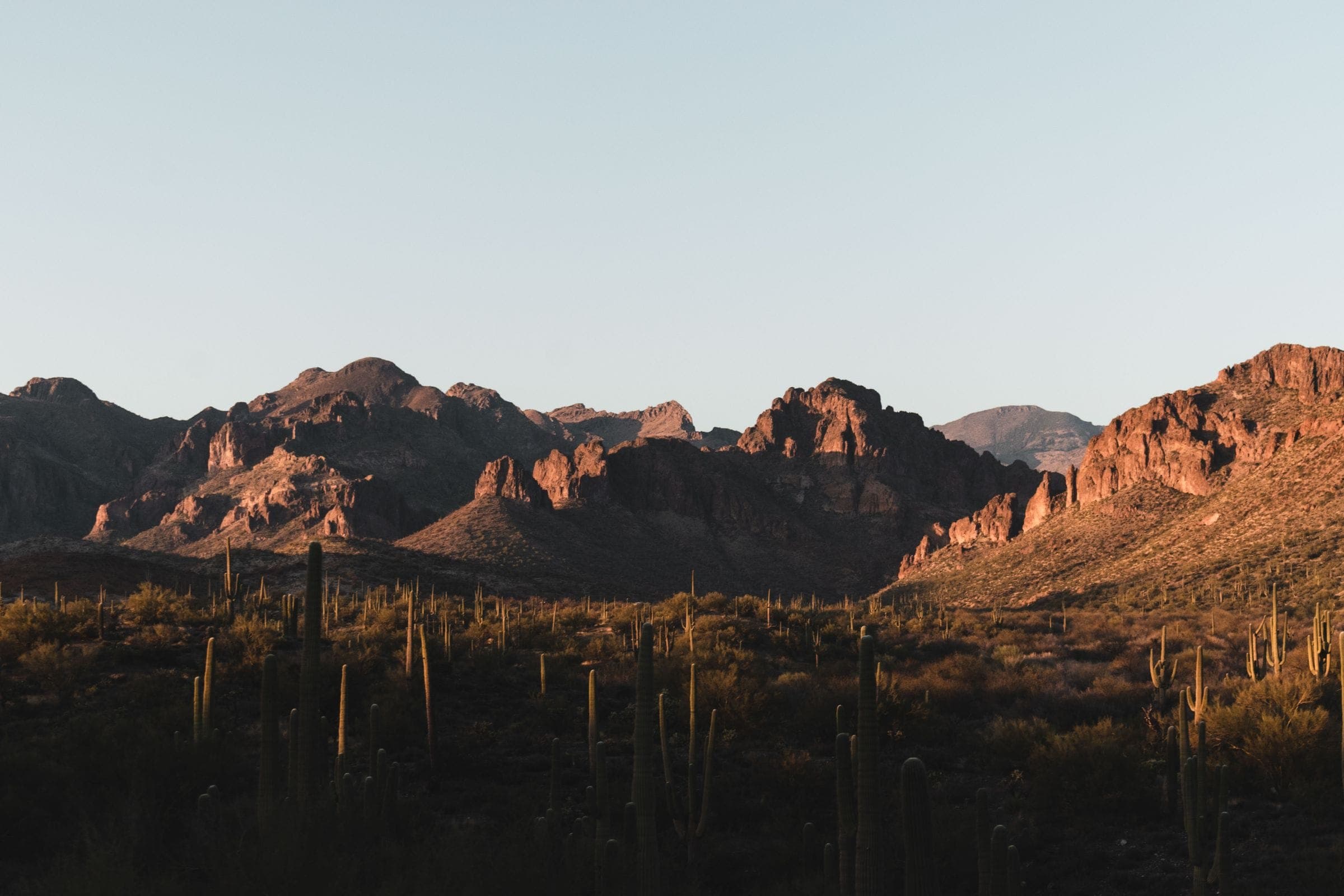 Red rock buttes and saguaro in the Sonoran Desert at last light